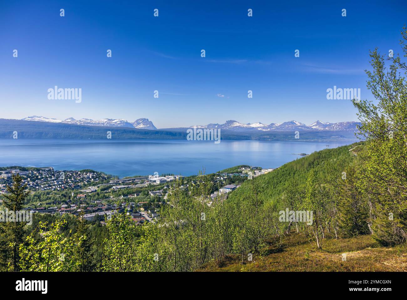 Narvik Town, Norvegia, splendido paesaggio, circolo polare artico. La città si trova lungo l'Ofotfjorden nella regione di Ofoten. Foto Stock