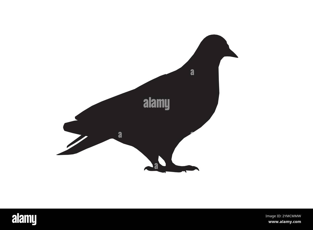 Illustrazione vettoriale del piccione, animale isolato su bianco, sagoma del piccione, immagine vettoriale della colomba Illustrazione Vettoriale