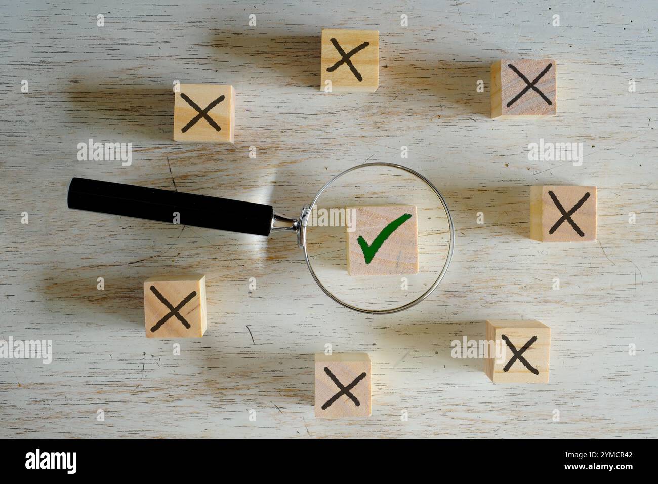 Crescita aziendale, successo, innovazione e concetto di idee, log di legno disposti, lente di ingrandimento, casella di controllo per la pianificazione dello sviluppo, leadership e customer bus Foto Stock