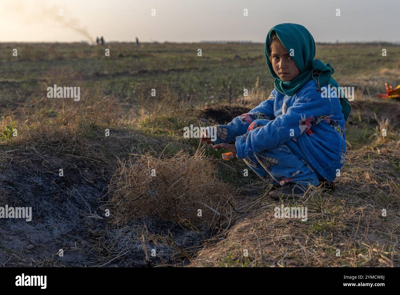 Herat, una delle principali province agricole afghane, è recentemente emersa come centro globale per la produzione e l'esportazione di zafferano. Foto Stock