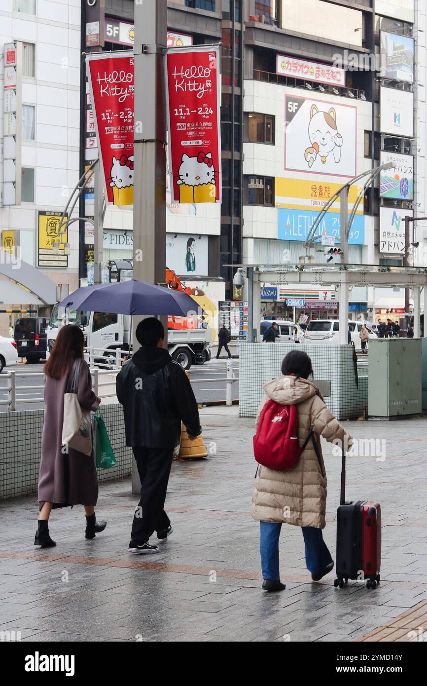 TOKYO, GIAPPONE - 21 novembre 2024: Via a Ueno con striscioni su un lampione che pubblicizza una mostra del Tokyo National Museum su Hello Kitty. Foto Stock