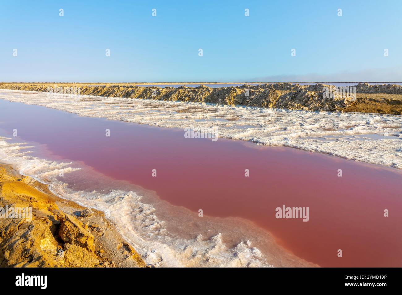 Salina rosa a Walvis Bay, paesaggio della Namibia, Africa Foto Stock