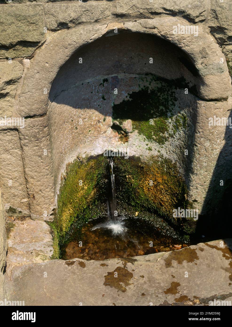 Vista a nord-ovest del pozzo di St Alkmund, Derby, Inghilterra, Regno Unito, la nicchia in pietra del pozzo medievale fu costruita dal Revd Henry Cantrell all'inizio del 1800. Foto Stock