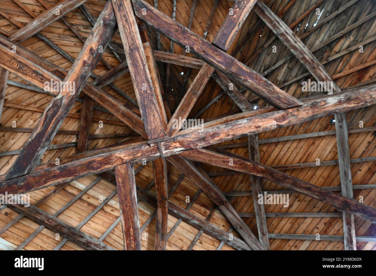 Struttura del tetto in legno o legno e zattere del Fort Delaix (1693-1695) Colmars o Colmars-les-Alpes-de-Haute-Provence Provence Francia Foto Stock