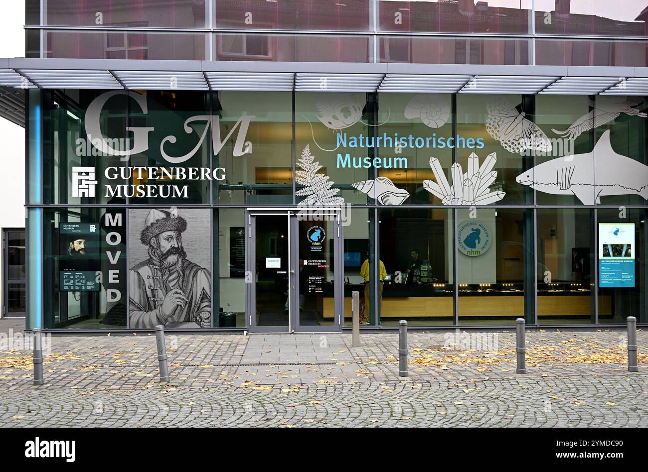 DAS Mainzer Gutenberg-Museum zeigt von Samstag an Seine wichtigsten Exponate an einem Interimsstandort im ehemaligen Klarissenkloster St. Klara foto vom 21.11.2024. Die Geschichte des Buchdrucks wird dort auch unter Einsatz moderner Multimediatechniken auf gut 1,000 Quadratmetern Ausstellungsflaeche praesentiert. Auf mehreren, bislang von dem staedtischen Naturhistorischen Museum genutzten Etagen werden unter anderem gedruckte Buecher aus der Zeit von Gutenberg sowie historische Druckmaschinen ausgestellt, darunter drei Baende Originalbibeln aus der Werkstatt von Johannes Gutenberg. Siehe epd- Foto Stock