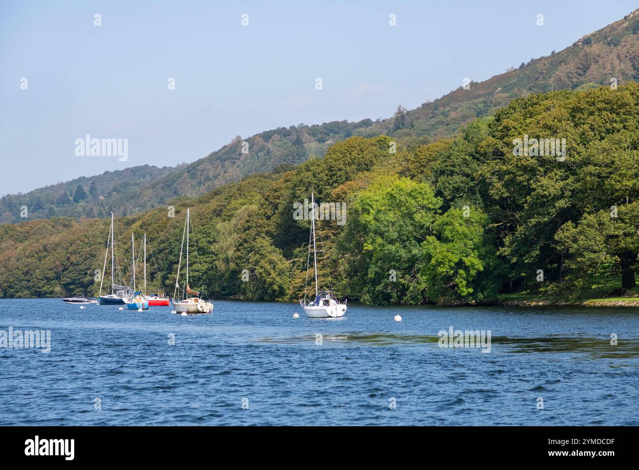 Le barche vicine sono cadute a piedi all'estremità meridionale del lago Windermere nel parco nazionale del Lake District, in Inghilterra. Foto Stock