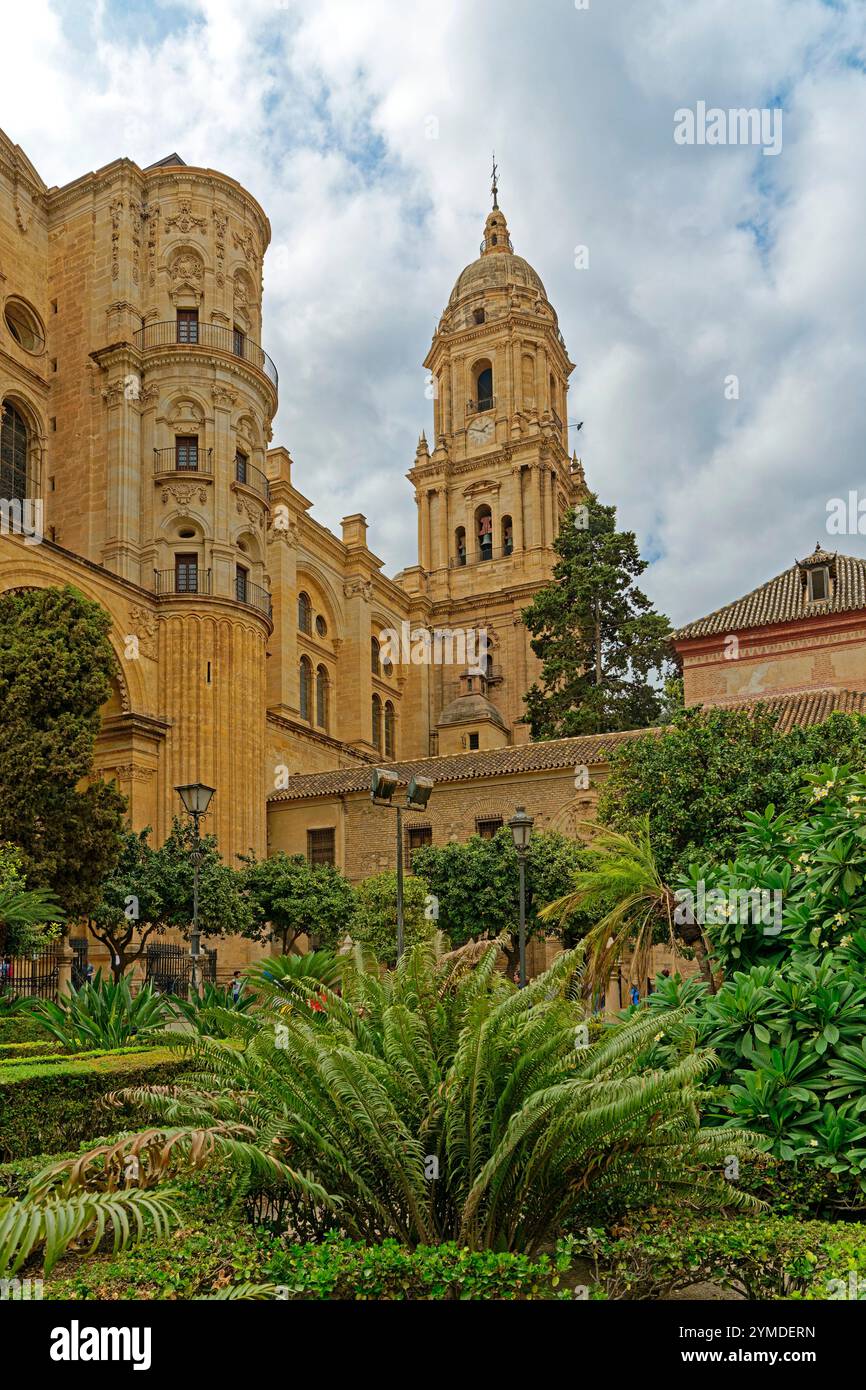Catedral de la Encarnación de Málaga Foto Stock