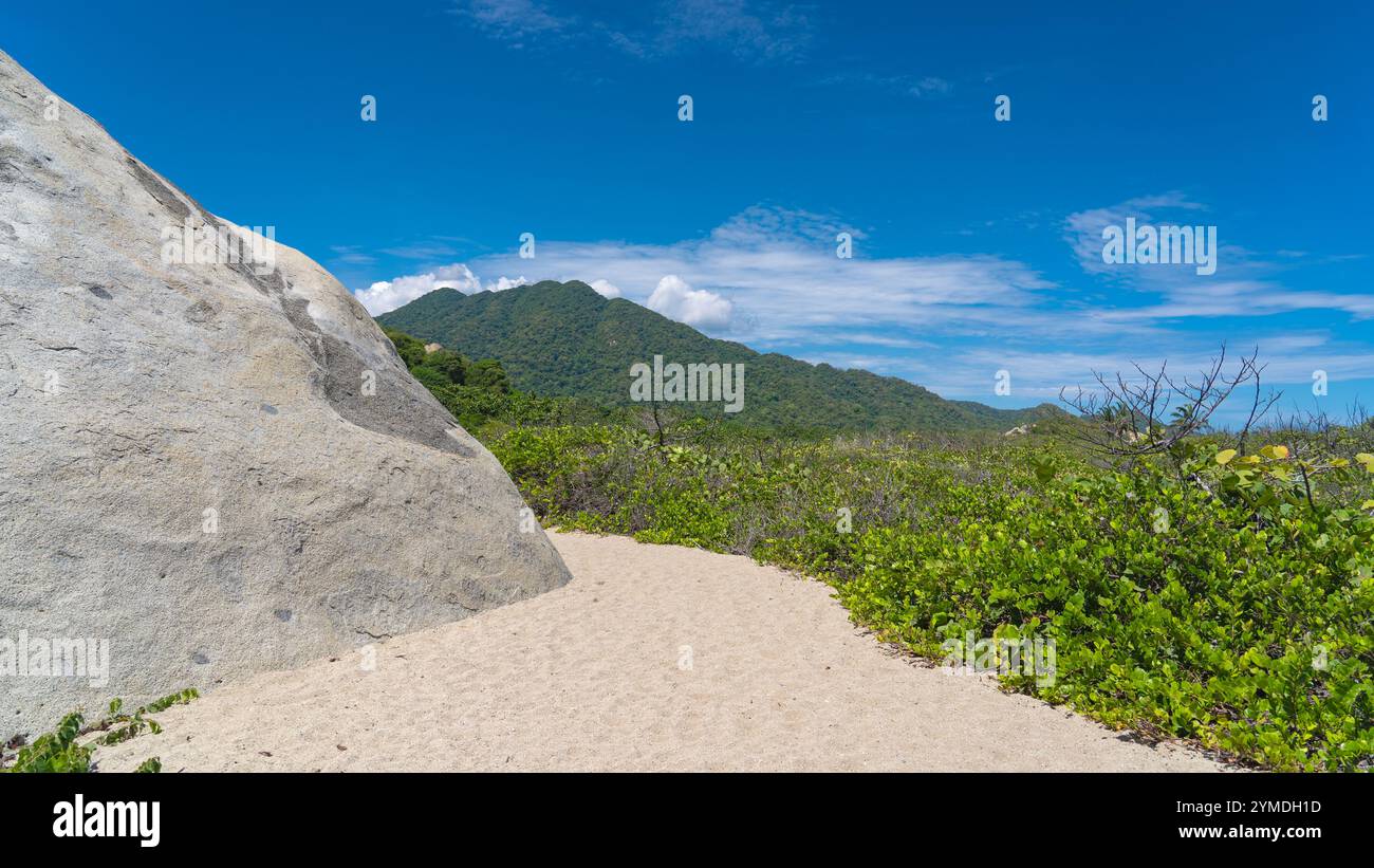 Un morbido sentiero di sabbia che si snoda attraverso la lussureggiante vegetazione tropicale del Parco naturale Nazionale di Tayrona. Foto Stock