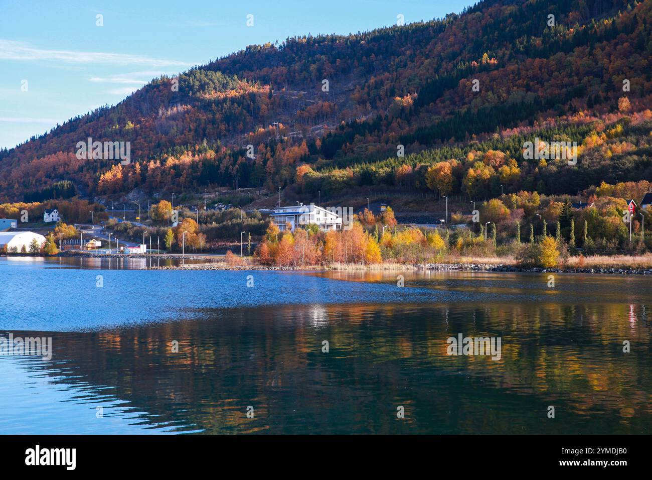 Orkanger, Norvegia. Paesaggio costiero con case di legno in una giornata di sole d'autunno Foto Stock