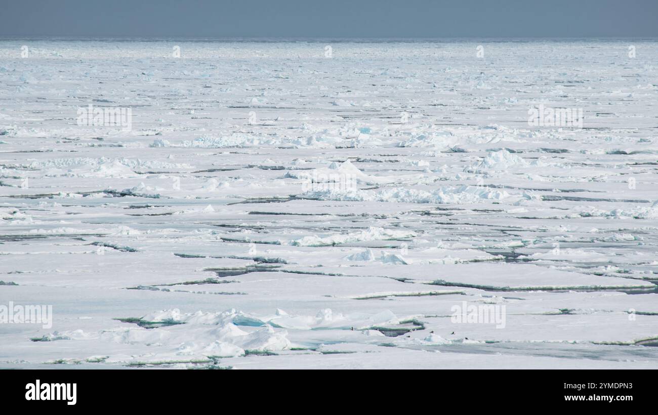 Vedute panoramiche del mare Artico Foto Stock