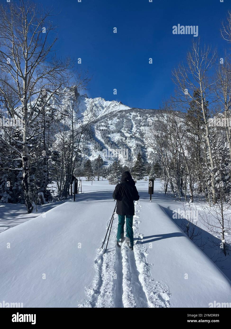 Sci di fondo femminile il giorno solare invernale a Jackson, Wyoming - Immagine stock catturata con smartphone