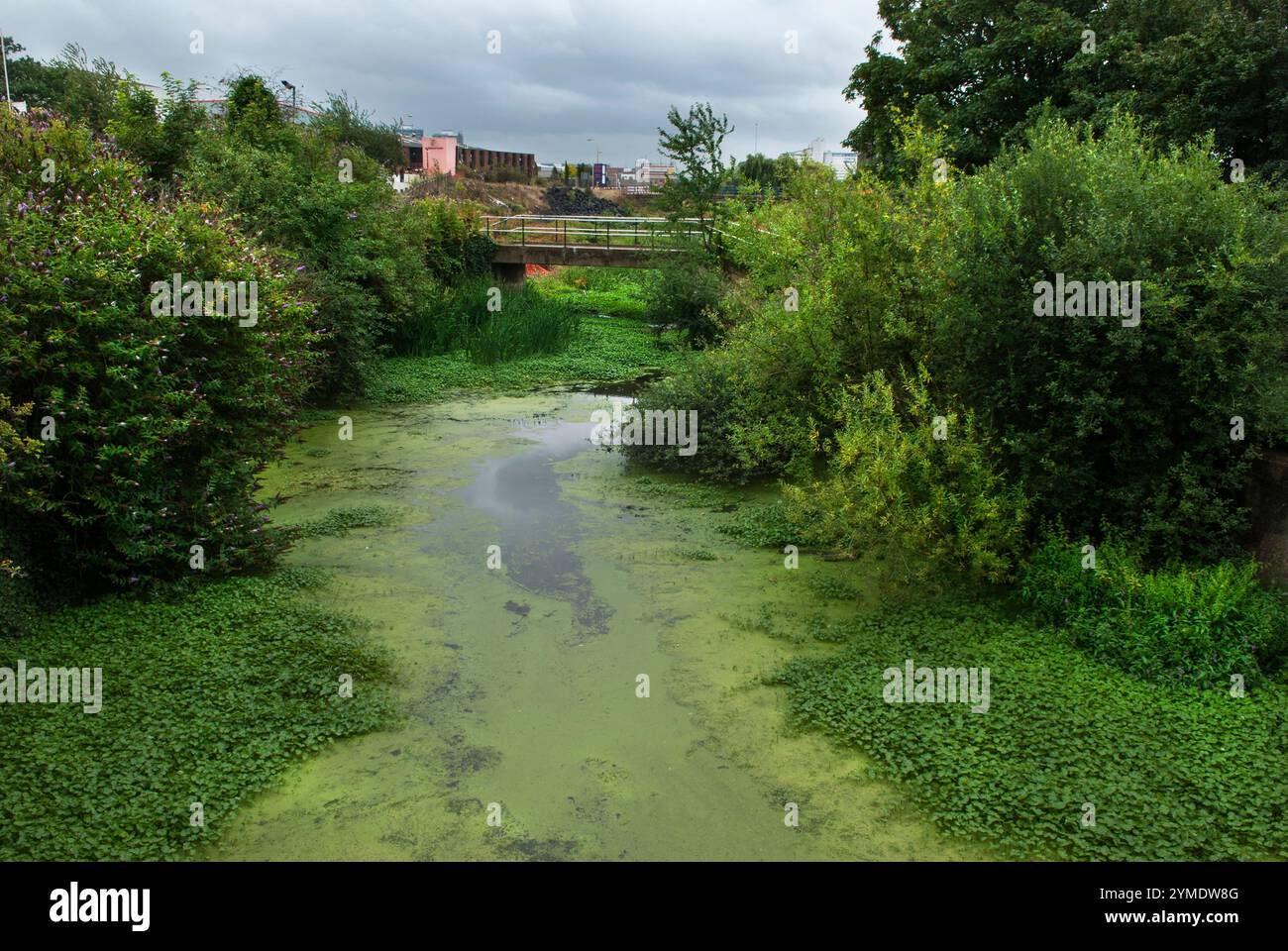 Il canale di navigazione Lee in lontananza, (edificio rosa ) H.. Forman & Son, la rinomata azienda di salmoni affumicati situata in Stour Road, Fish Island, London E3. East London la Lower Lea Valley, sede del London Olympic Games Park 2012, 26 luglio 2007. 2000 UK HOMER SYKES Foto Stock