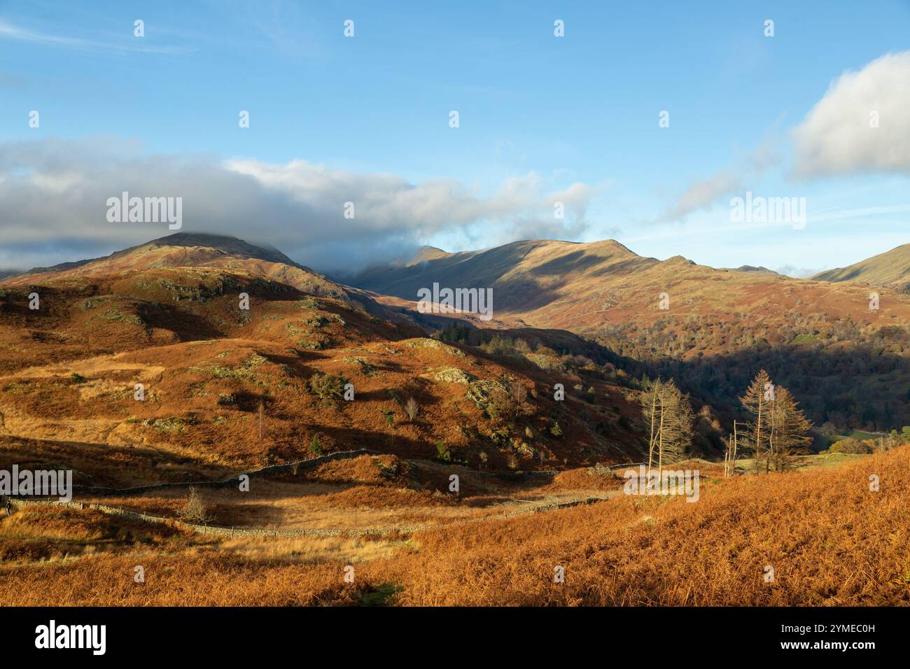 Fairfield Horseshoe da Loughrigg Fell, Lake District National Park, Cumbria, Inghilterra, Regno Unito Foto Stock