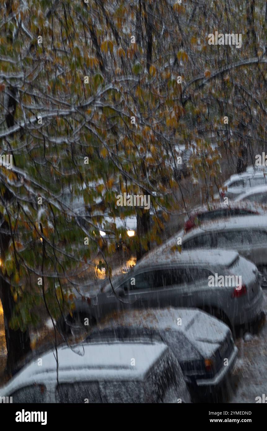 Momento di tempesta con vento forte, forte nevicata e foglie ancora intatte sugli alberi in una strada con auto parcheggiate, Sofia, Bulgaria Foto Stock