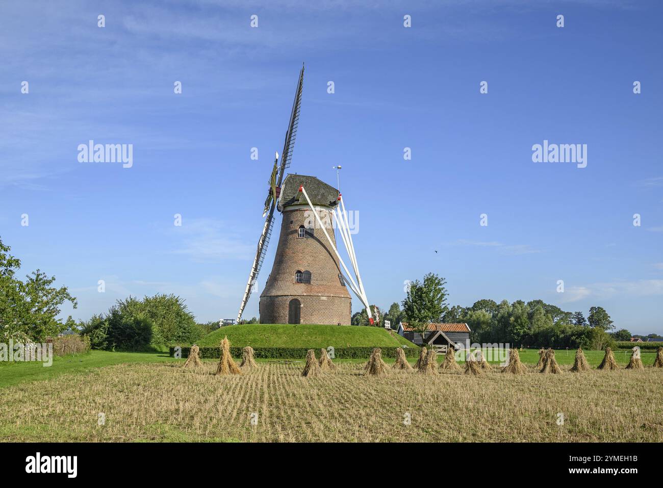 Mulino a vento in un cielo limpido circondato da campi e fienili, paesaggi rurali idilliaci, Rekken, gheldria, paesi bassi Foto Stock