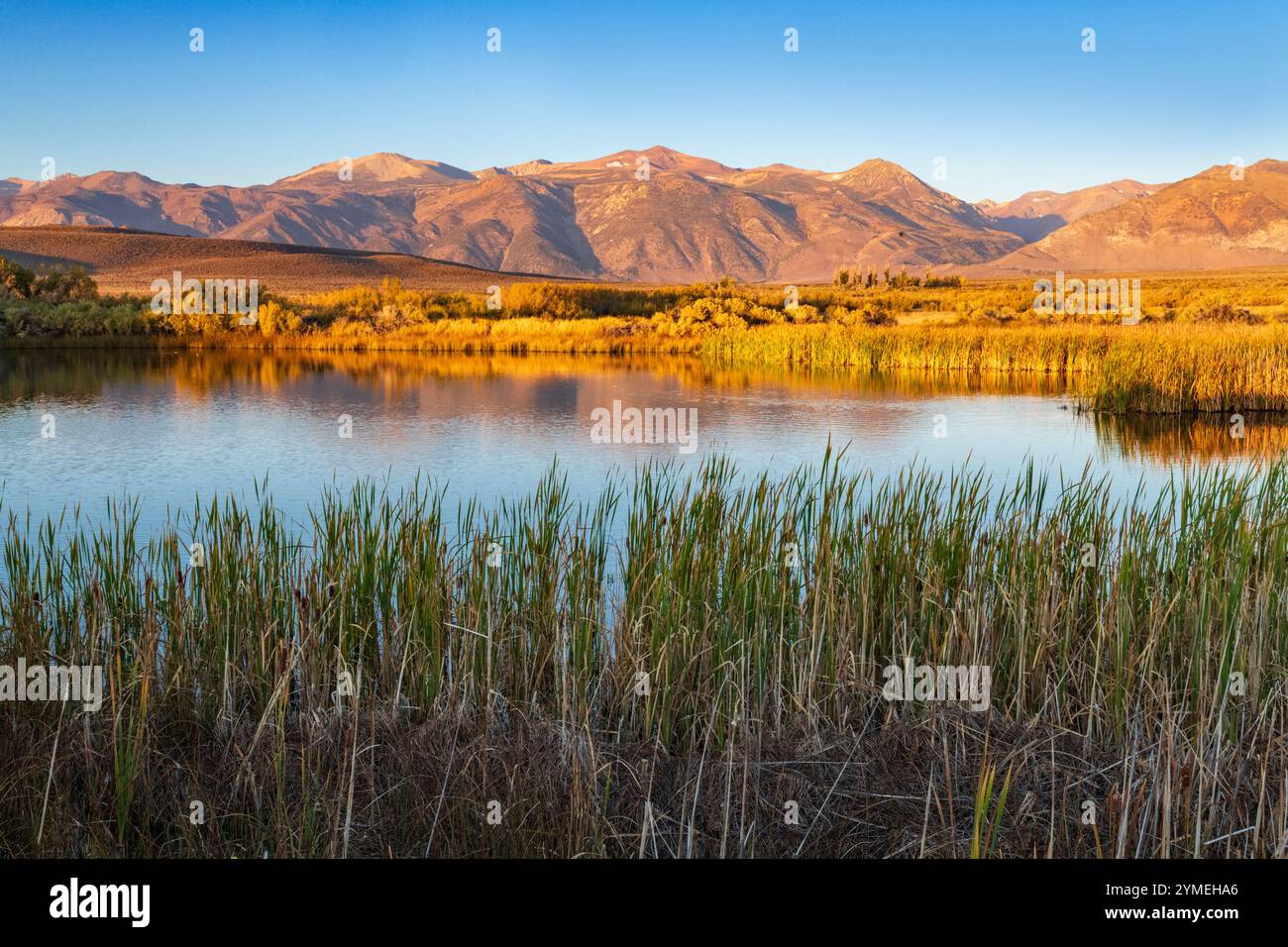 Mono Hot Springs; Eastern High Sierras; Mono County; Dawn; California Foto Stock