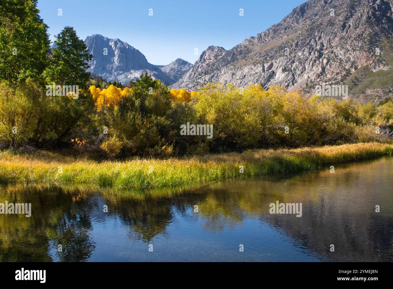 Rush Creek; Eastern High Sierras; June Lake Loop; Autumn; California Foto Stock