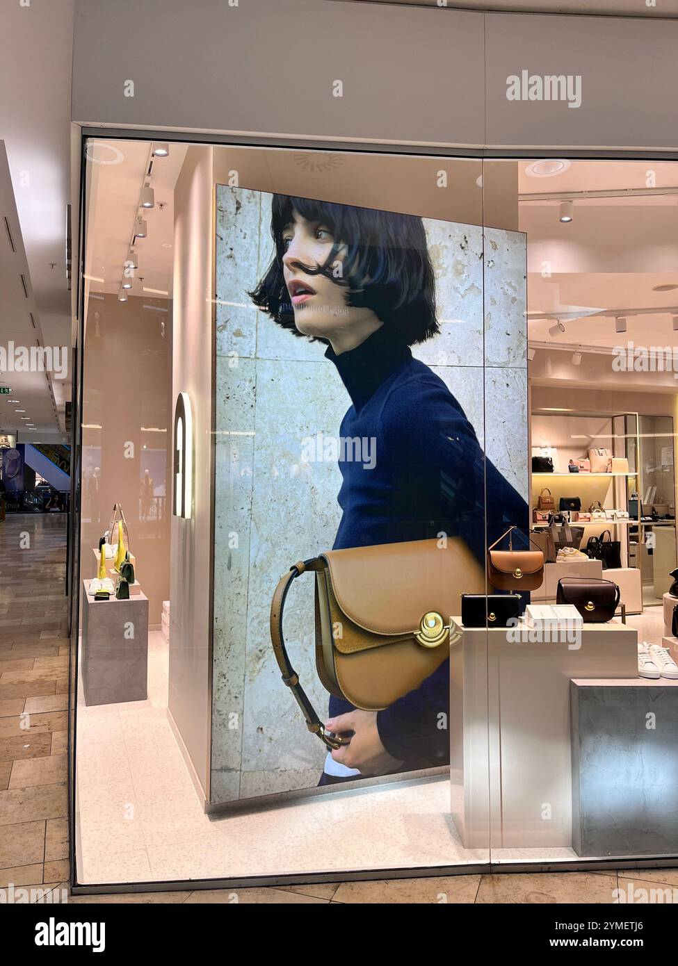 centro commerciale, centro commerciale, negozio, esposizione, interni, borse in pelle, accessori, moda, boutique, modello alla moda con portamonete grande, negozio Foto Stock