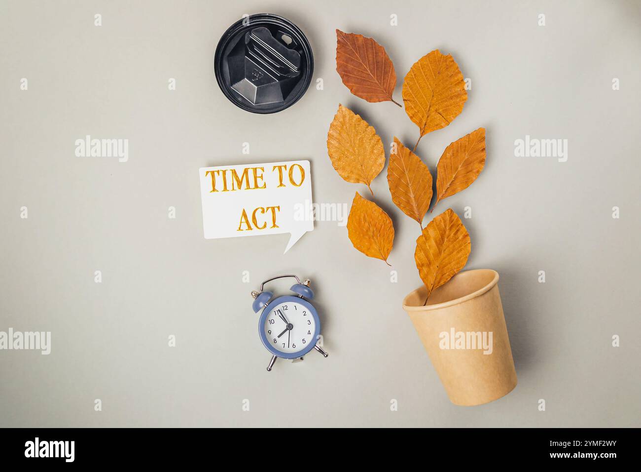 Orologio e una tazza con le foglie sopra. Le foglie sono disposte in modo che esprimano la parola tempo per agire Foto Stock