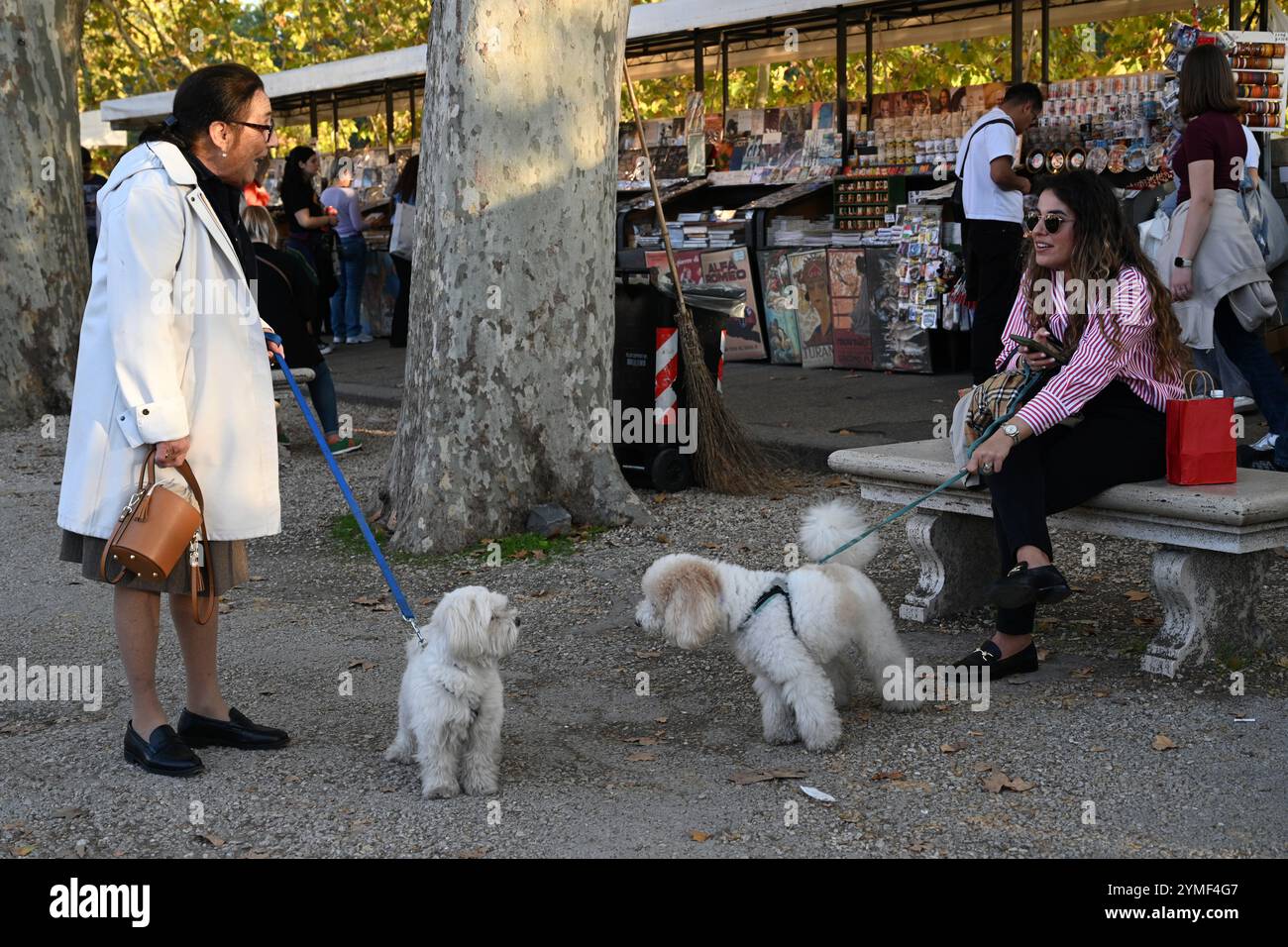 Roma, Italia - 2 novembre 2024: Donne con cani a Roma. Foto Stock