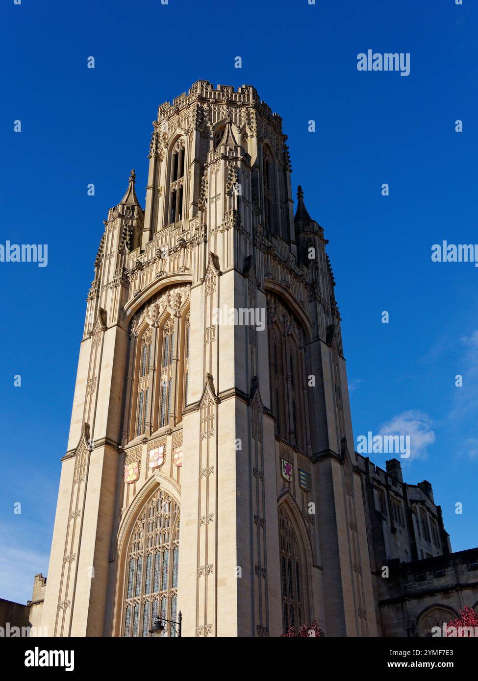 Wills Memorial Building, edificio neogotico, Bristol University, Bristol, Inghilterra, REGNO UNITO, REGNO UNITO. Foto Stock