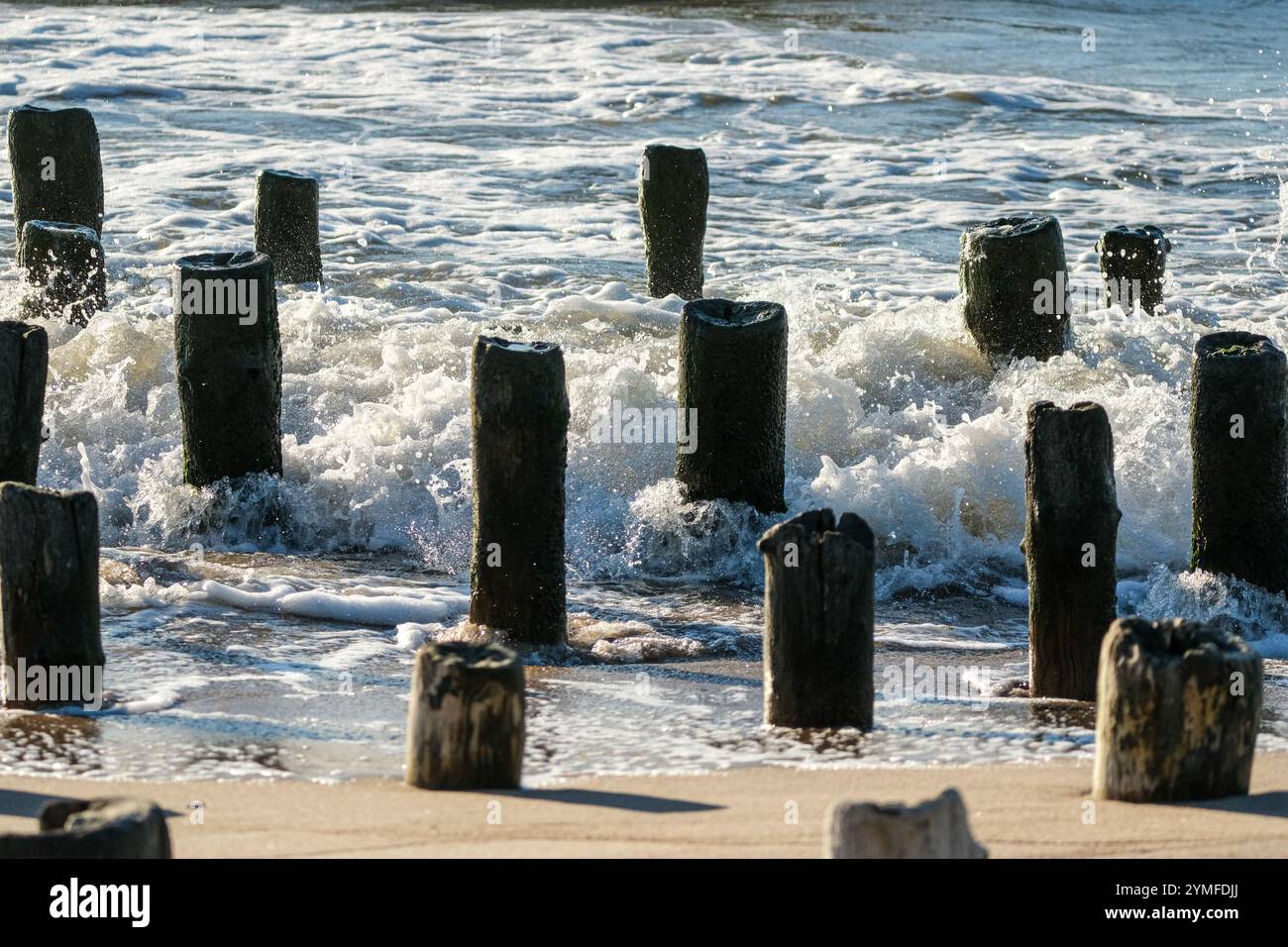 Primo piano di onde marine che si spruzzano contro frangiflutti in legno intempestivo su una spiaggia sabbiosa, mostrando l'erosione costiera e gli elementi marittimi. Foto Stock