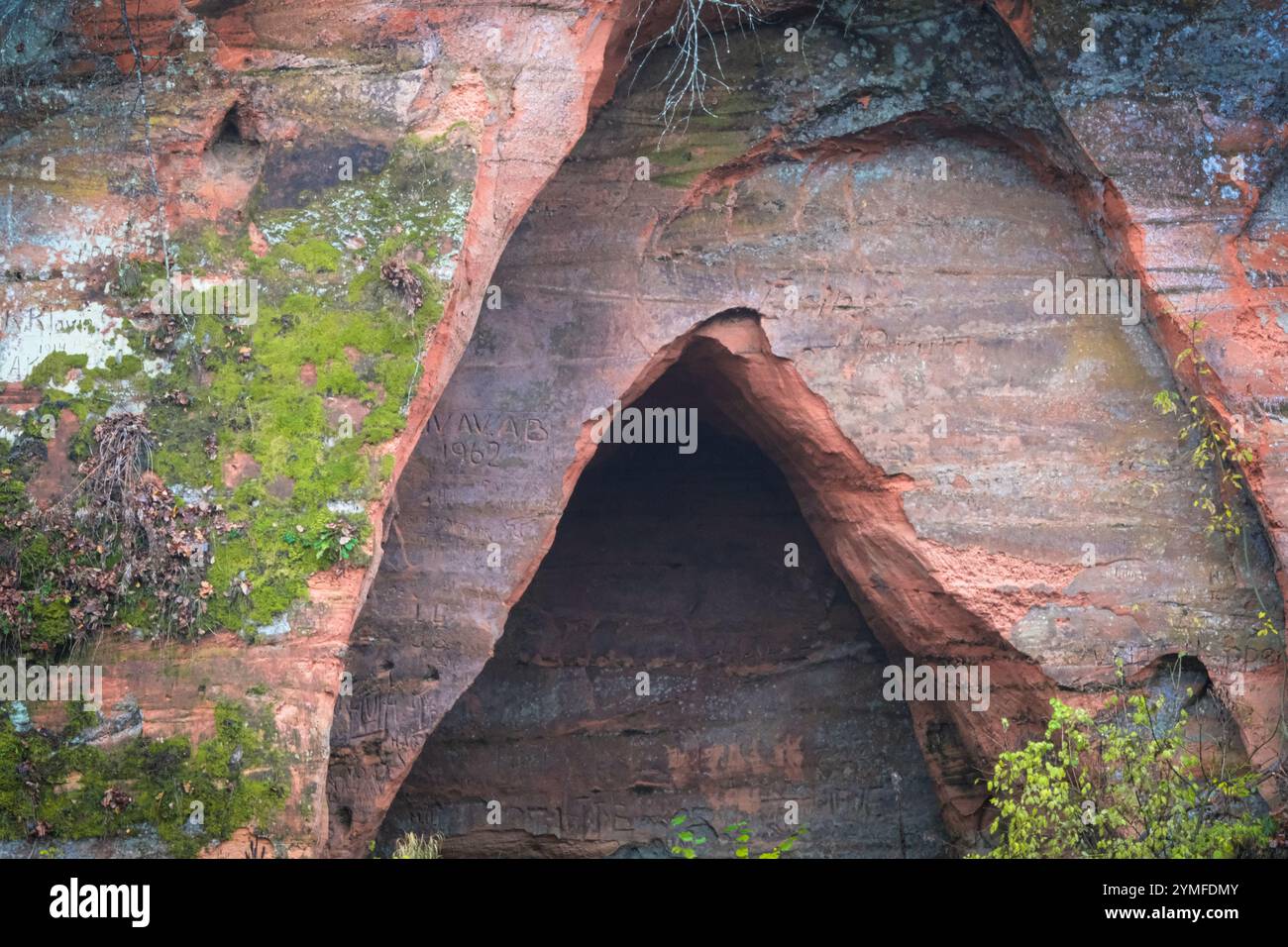 Primo piano di un ingresso in una grotta di arenaria scolpita su una parete rocciosa, con muschio e vegetazione che aggiungono texture naturali. Foto Stock