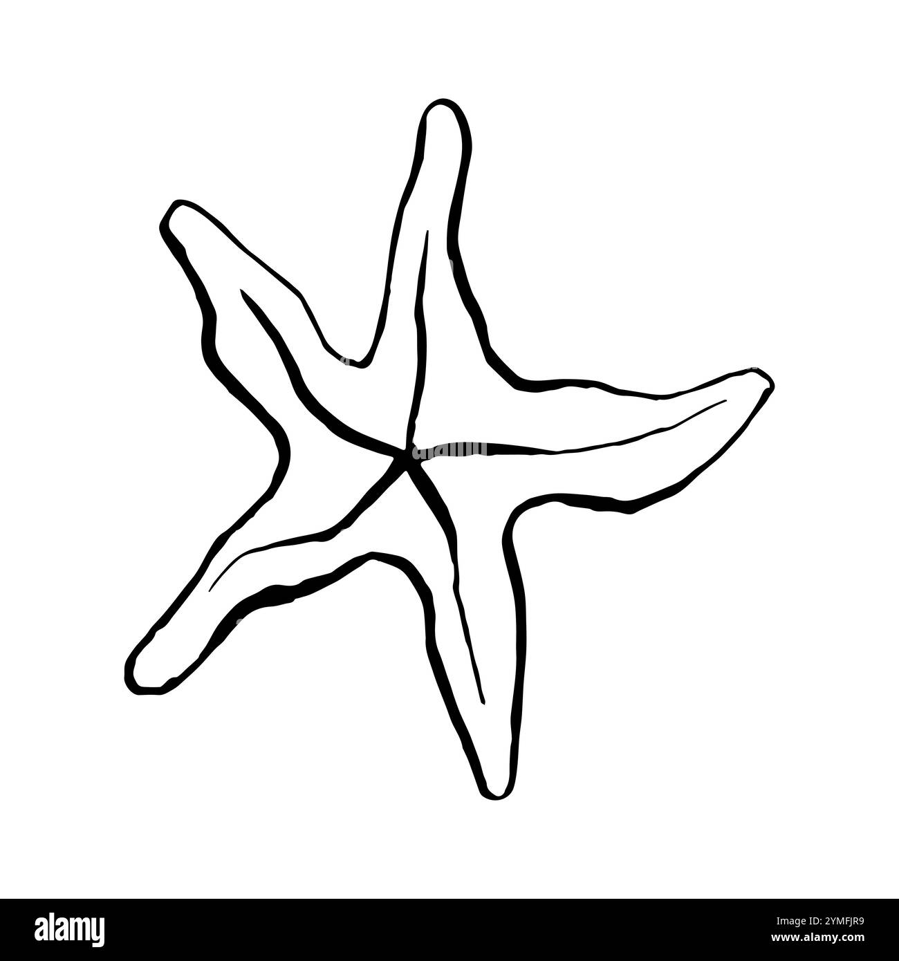 Vettore di schizzo stella marina. Un'illustrazione in bianco e nero degli animali marini. Colore monocromatico Outline Marine Star verniciato con inchiostri neri. Disegnato a mano Illustrazione Vettoriale