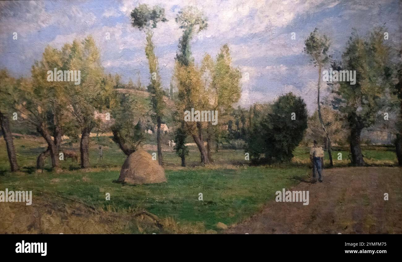 Camile Pisarro: 'Prairies du Valhermeil pres Pontoise' (1874) Foto Stock
