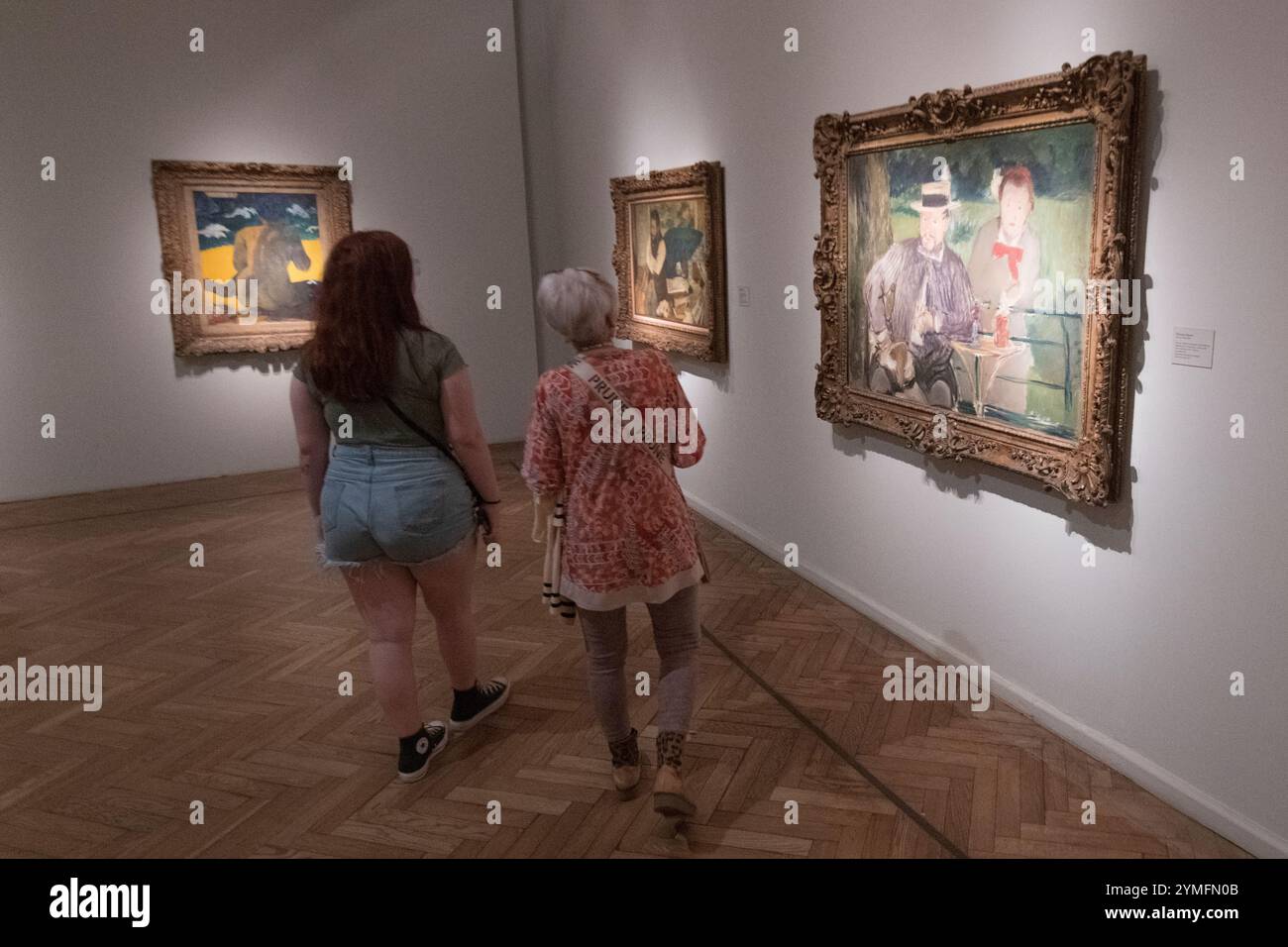 Impressionismo francese. Museo Nacional de Bellas Artes, Buenos Aires, Argentina Foto Stock