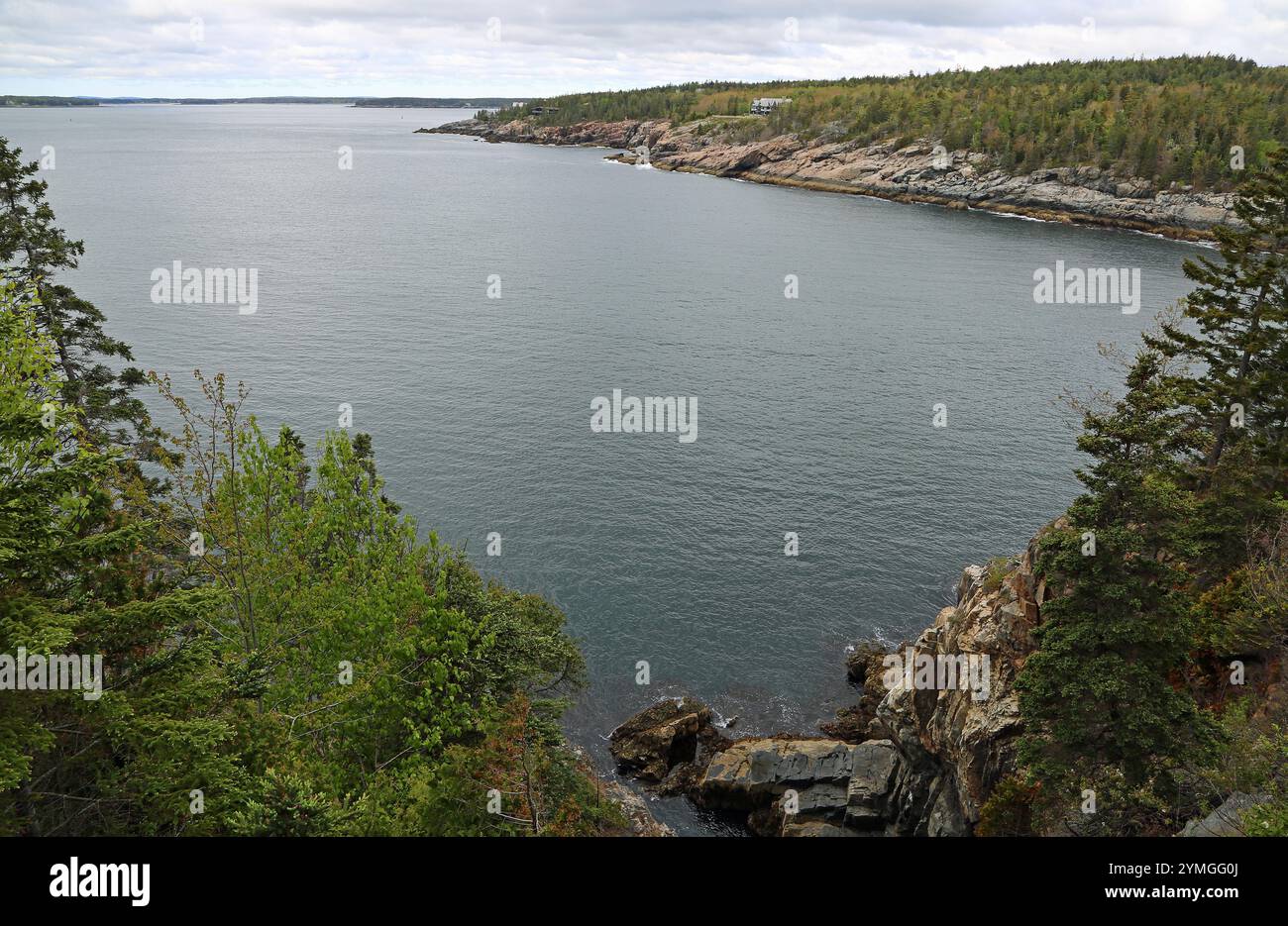 Vista a Otter Cove, Acadia NP, Maine, Stati Uniti Foto Stock