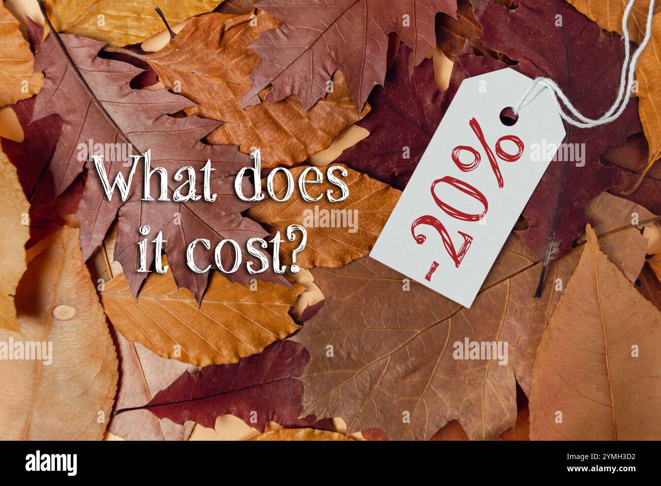 Mucchio di foglie con un cartellino che dice 20. Le foglie sono marroni e arancioni Foto Stock