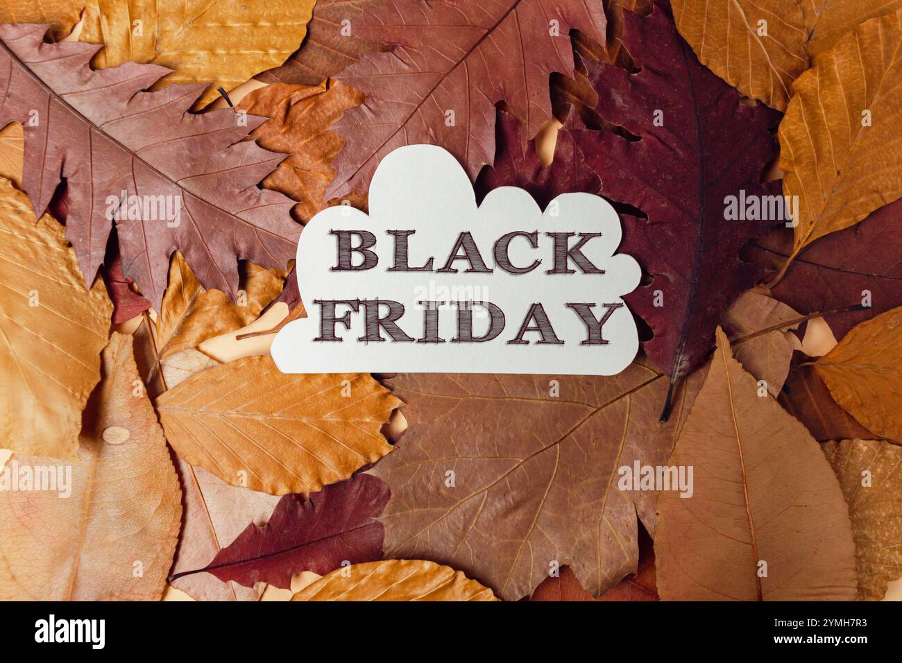 Pile di foglie d'autunno con la parola Black Friday scritta sopra. Concetto di eccitazione e anticipazione per la prossima stagione degli acquisti natalizi Foto Stock Pile di foglie d'autunno con la parola Black Friday scritta sopra. Concetto di eccitazione e anticipazione per la prossima stagione degli acquisti natalizi Foto Stock