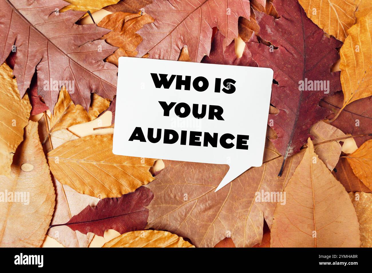 Insegna bianca con un contorno nero di una bolla che dice chi è il tuo pubblico è posizionato sopra una pila di foglie autunnali Foto Stock
