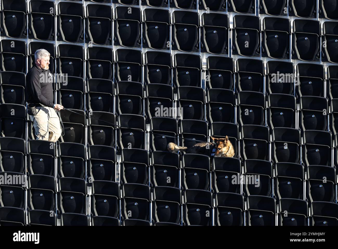 Las Vegas, Nevada, Stati Uniti. 21 novembre 2024. Controlli di sicurezza sulle tribune con una K9 prima del Gran Premio d'Argento di Formula 1 Heineken di Las Vegas 2024 sul circuito di Las Vegas Street a Las Vegas, Nevada. Christopher Trim/CSM/Alamy Live News Foto Stock