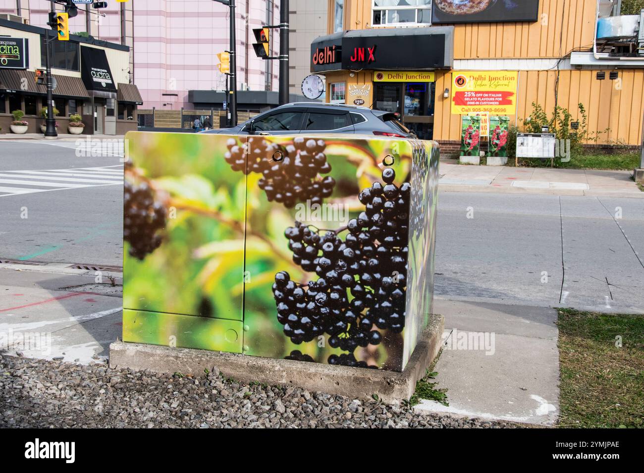 Murale dell'uva su una scatola di controllo del traffico elettrico su Clark Avenue a Niagara Falls, Ontario, Canada Foto Stock