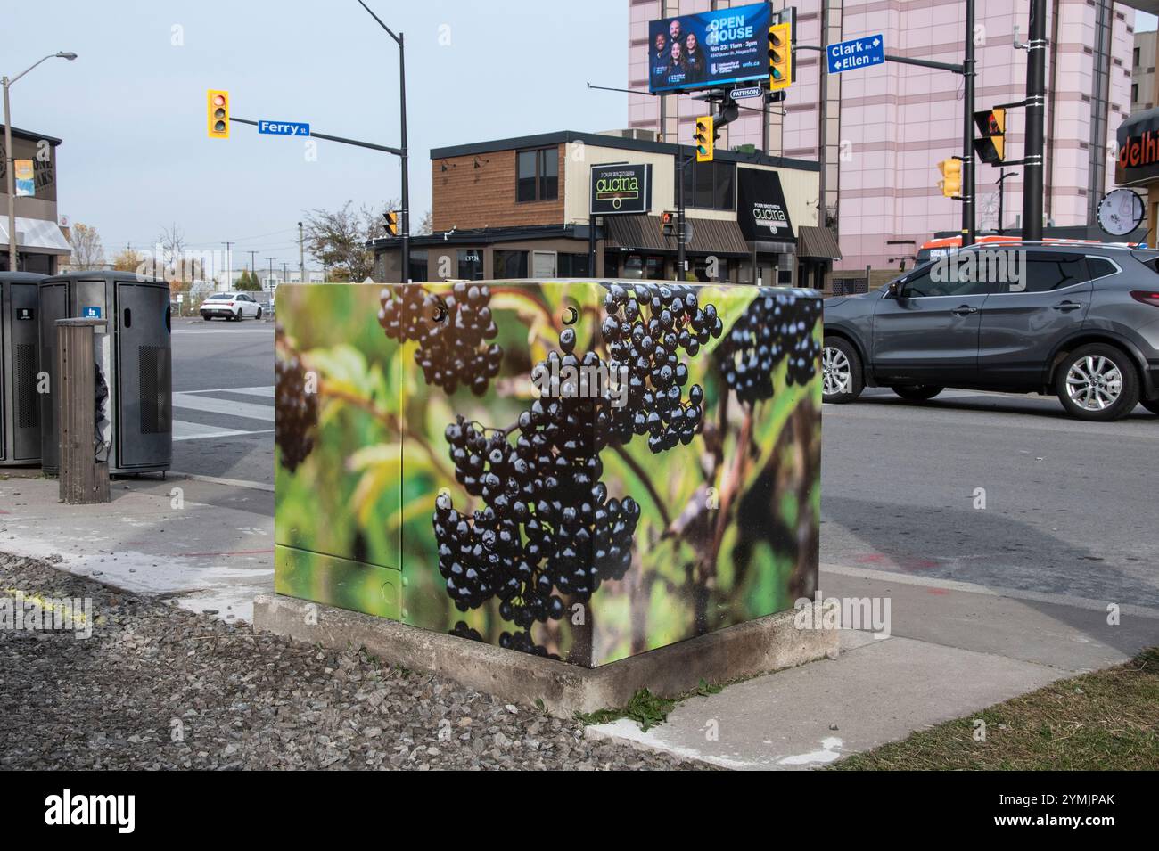 Murale dell'uva su una scatola di controllo del traffico elettrico su Clark Avenue a Niagara Falls, Ontario, Canada Foto Stock