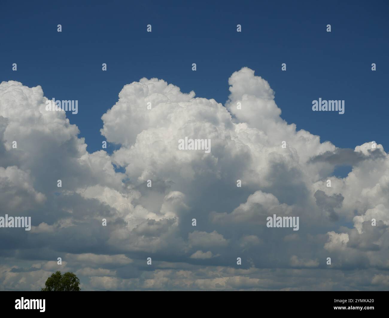 Cumulus nuvola su un bel cielo blu in luce diurna, fluidità nuvole formazioni in zona tropicale Foto Stock