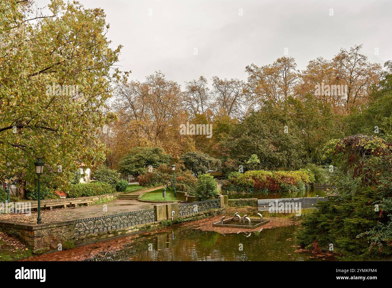 Le foglie d'autunno dorate galleggiano dolcemente su un tranquillo laghetto, creando una tranquilla e pittoresca scena di bellezza e riflessi stagionali. Foto Stock