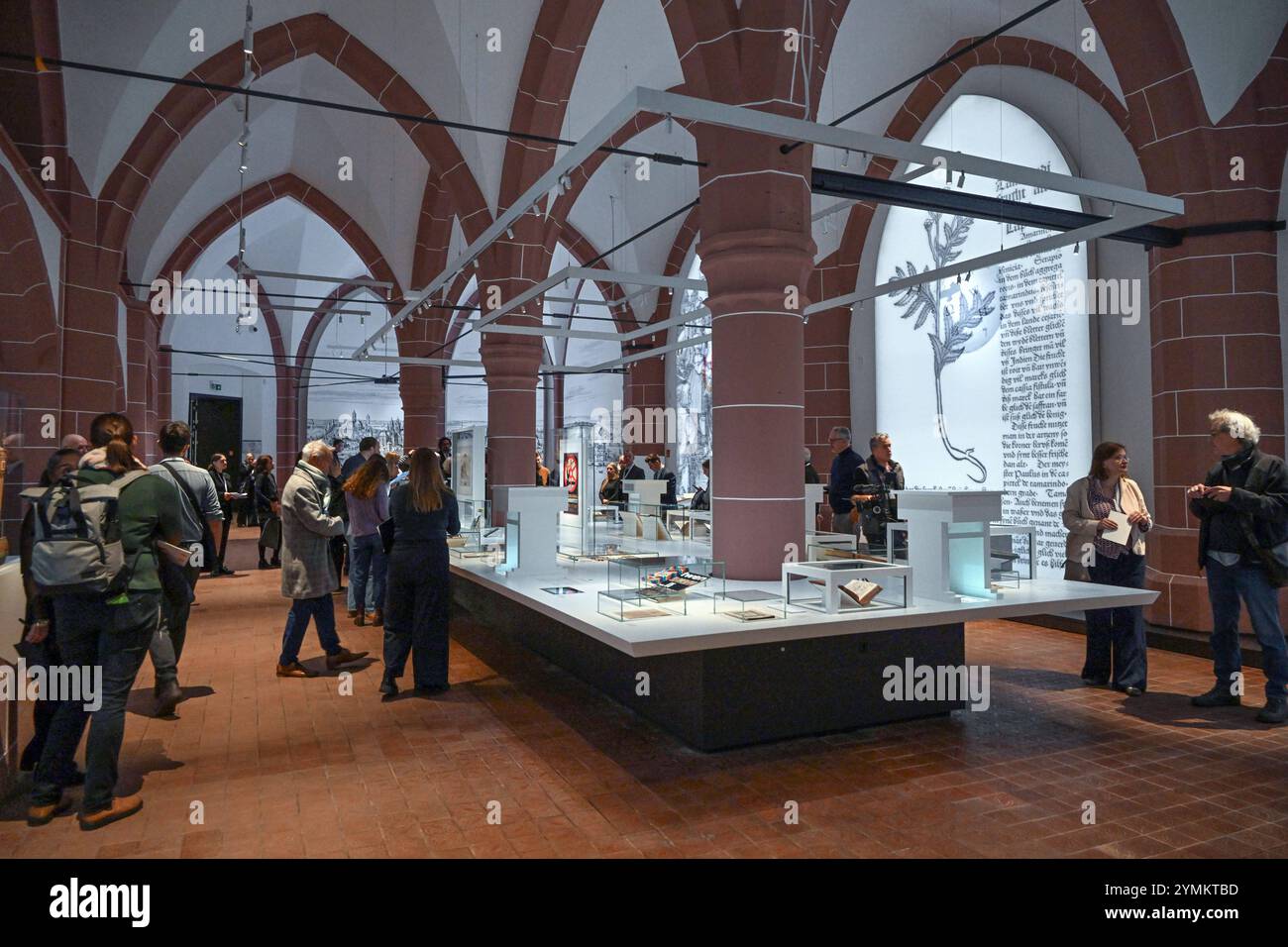 DAS Mainzer Gutenberg-Museum zeigt von Samstag an Seine wichtigsten Exponate an einem Interimsstandort im ehemaligen Klarissenkloster St. Klara foto vom 21.11.2024. Die Geschichte des Buchdrucks wird dort auch unter Einsatz moderner Multimediatechniken auf gut 1,000 Quadratmetern Ausstellungsflaeche praesentiert. Auf mehreren, bislang von dem staedtischen Naturhistorischen Museum genutzten Etagen werden unter anderem gedruckte Buecher aus der Zeit von Gutenberg sowie historische Druckmaschinen ausgestellt, darunter drei Baende Originalbibeln aus der Werkstatt von Johannes Gutenberg. Siehe epd- Foto Stock