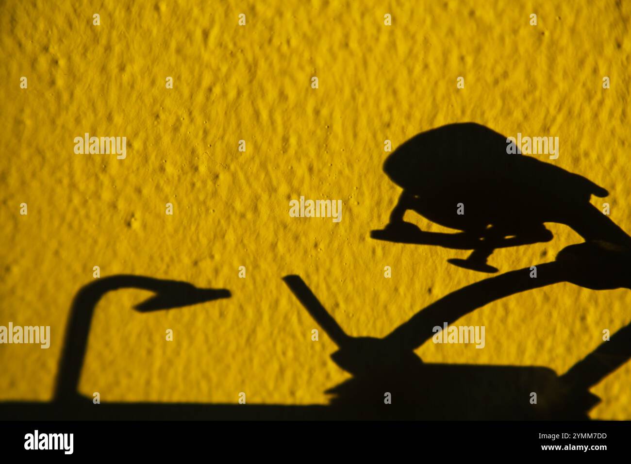 Shadow on the Wall, Man at the Desk, Screw Man Foto Stock