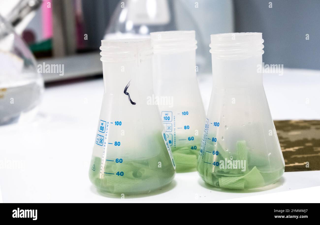 Vista ravvicinata di piccoli flaconi in plastica trasparente con fluido colorato in laboratorio per la ricerca e lo sviluppo o in un laboratorio di analisi scientifica. Foto Stock