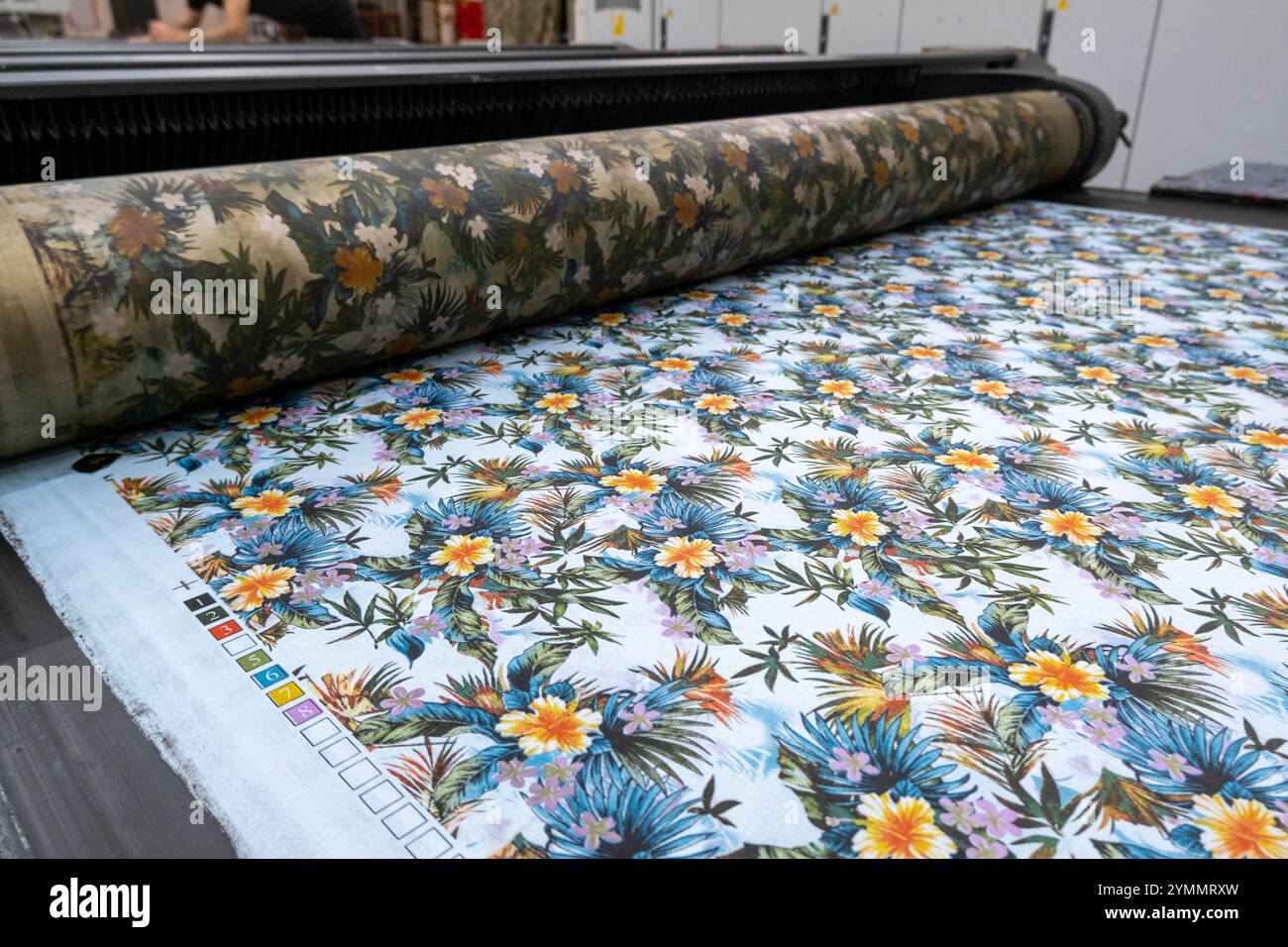 Macchina per stampa di tessuti in una fabbrica tessile in vista ravvicinata. Foto Stock
