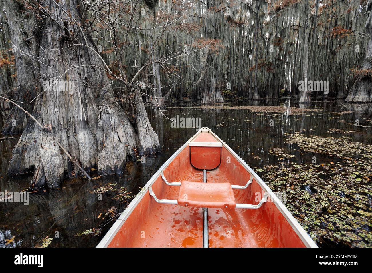 Canoa su un tranquillo lago Caddo Foto Stock