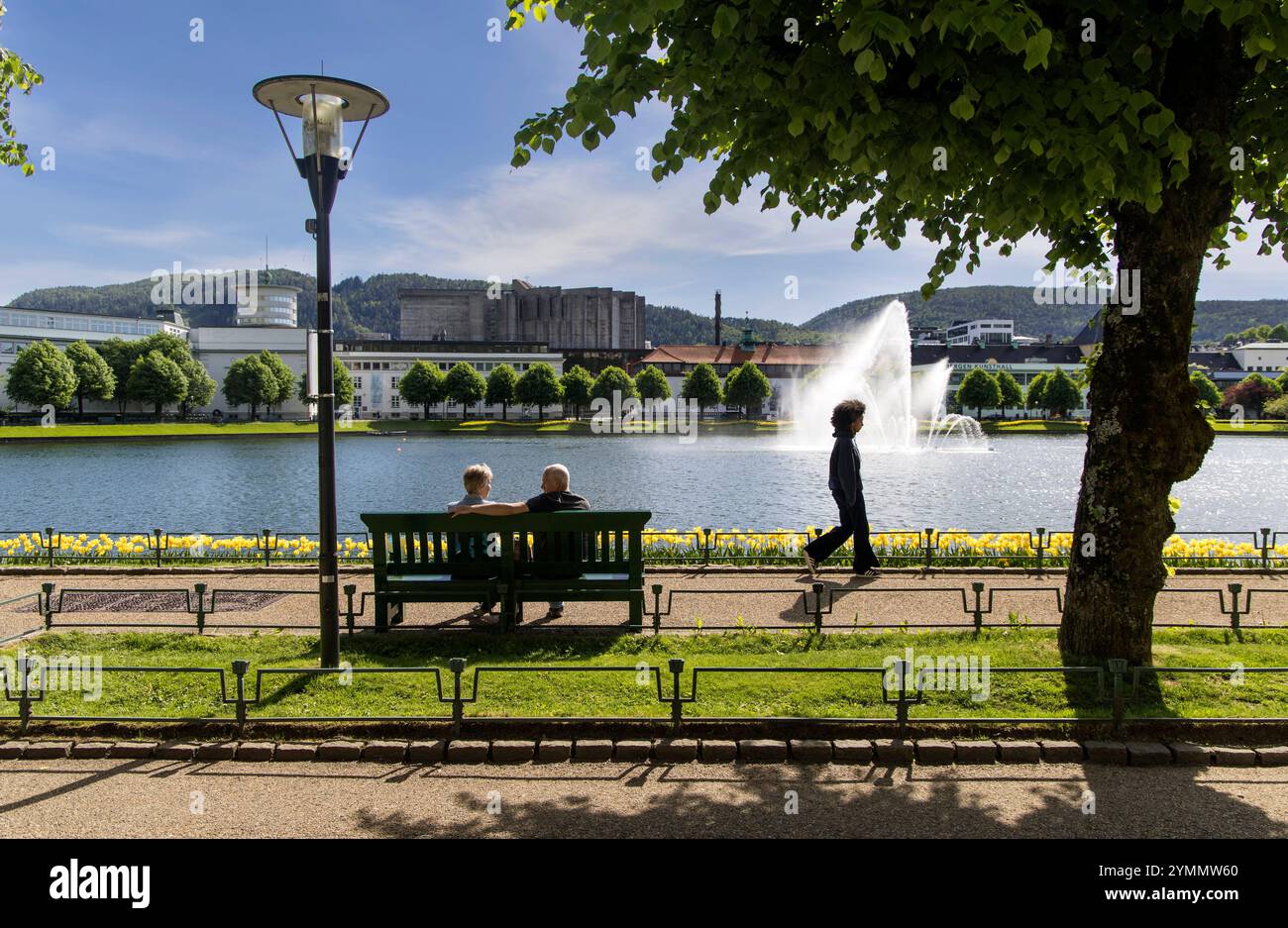 Bergen, ricreazione, lanterna, Norge, Norvegia, parco, panchina, camminatore, fontana, città, parco cittadino, laghetto Foto Stock