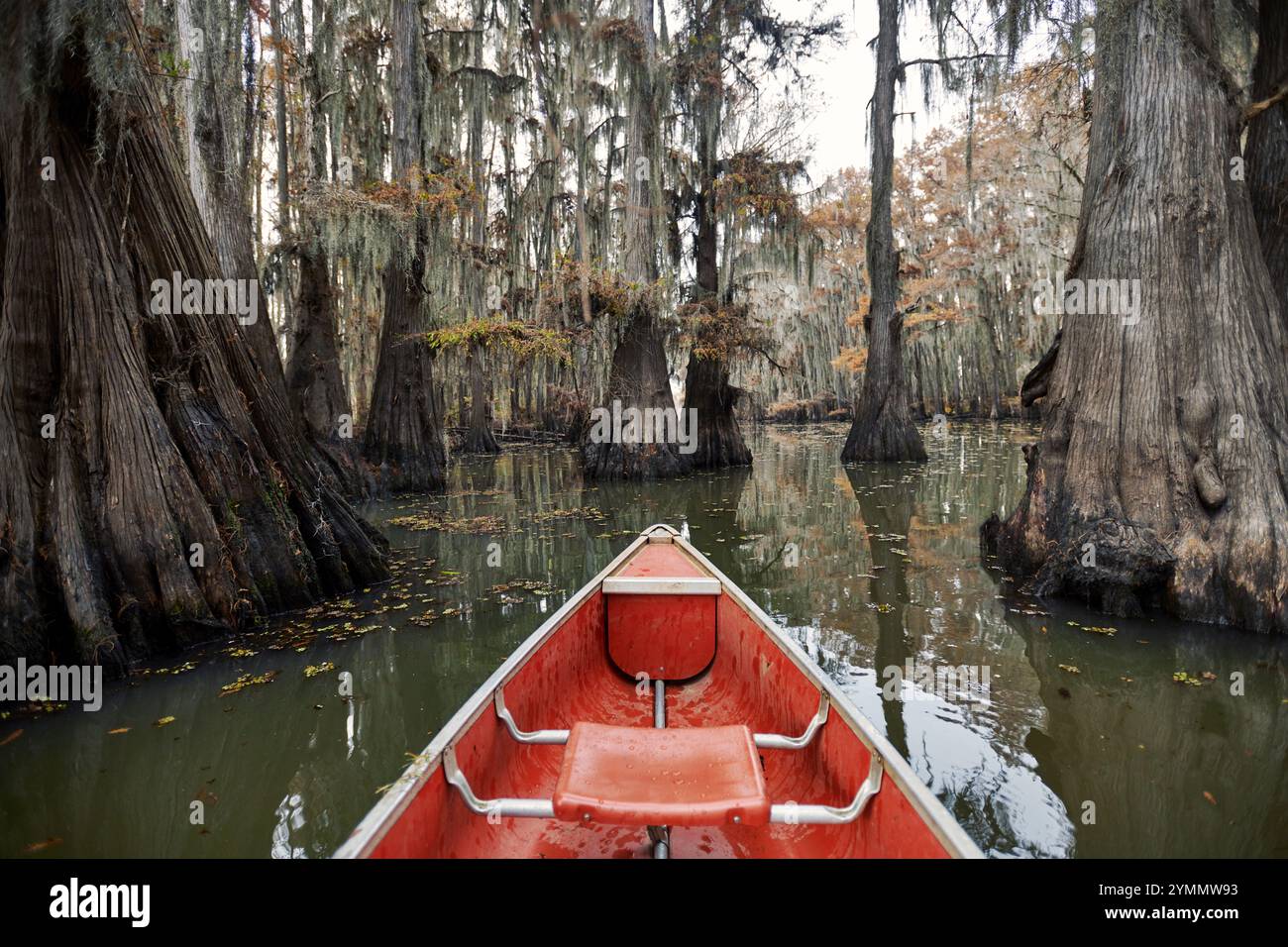 Canoa su un tranquillo lago Caddo Foto Stock