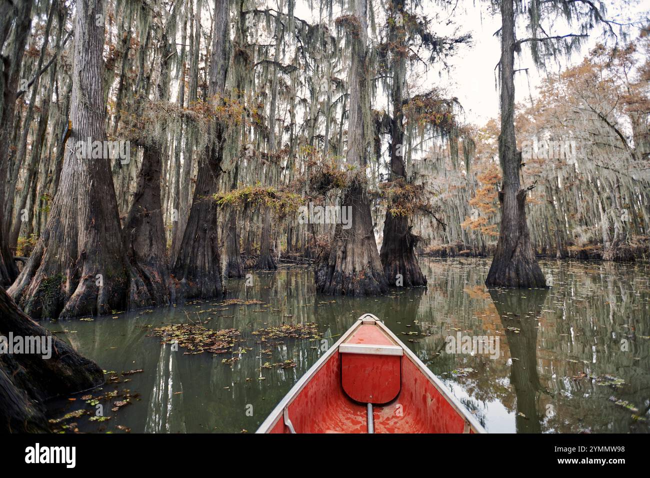 Canoa su un tranquillo lago Caddo Foto Stock