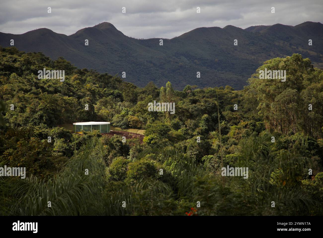 'Sonic Pavilion' (2009), una galleria dell'artista multidisciplinare americano Doug Aitken è circondata dalla foresta atlantica di Inhotim. L'Inhotim Institute è un'istituzione privata brasiliana fondata nel 2004 da Bernardo Paz, un uomo d'affari che lavora nel settore minerario. Il sito di 1.000 ettari è sia un importante museo di arte contemporanea che un giardino botanico. 23 padiglioni e gallerie sono aperti al pubblico, con opere di circa cento artisti contemporanei provenienti da oltre trenta paesi. Foto Stock