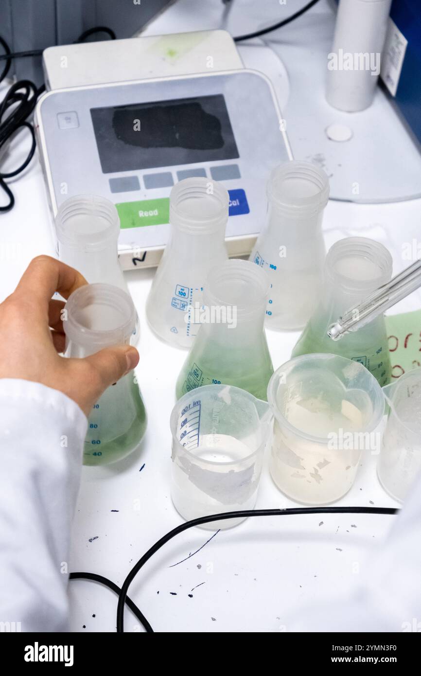 Vista ravvicinata dello scienziato che lavora con tubi e dispositivi in laboratorio. Foto Stock