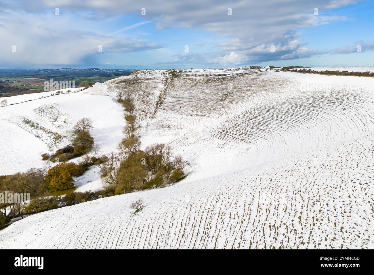 Eggardon Hill, Askerswell, Dorset, Regno Unito. 22 novembre 2024. Meteo nel Regno Unito. La neve ricopre ancora il terreno presso lo storico forte collinare Eggardon ad Askerswell nel Dorset in una fredda mattina di sole dopo la pesante nevicata di ieri. Crediti fotografici: Graham Hunt/Alamy Live News Foto Stock